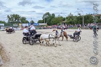 215 A LB 0582    © Daniela und Christian Bittner u.a.    Alle Inhalte auf diesen Webseiten sind urheberrechtlich geschützt. Kein Teil der hier abrufbaren Inhalte darf ohne ausdrückliche schriftliche Erlaubnis des Fotografen reproduziert, gedruckt, übersetzt, in digitaler Form weiterbearbeitet, in Archive übernommen oder Dritten unter einer fremden URL zugänglich gemacht werden.   Fotografen: AE .. A. Esdar, AH .. A. Helmle, CB .. Chr. Bittner, DB .. D. Bittner, LB .. L. Bittner, BB .. B. Boschatzke,   HZ .. H. Ziegelbauer, IM .. I. Maierhöfer, KH .. K. Hauber, LE .. L. Esdar, ME .. M. Esdar, MEr .. M. Erhard,   RM .. R. Maierhöfer, SD .. S. Demchuk, TS .. T. Spaag-Wagner, UL .. U. Ladenburger, JW .. J. Wecker, EB .. E. Boschatzke,   JA .. J. Abele, MW .. Maria Walter, MB .. Manuel Bühler, GG .. Georg Gösele, CBa .. Christoph Bayrle, KZW .. Kathrin Zwerger, PG .. Peter Gösele, CME .. Carmen Müller-Epacher, GB .. Gebhard Bühler, AL .. Alisha Ladenburger, SV .. Susanne Habel-Veit, LV .. Lukas Veit.