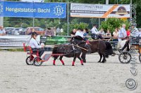 219 A CB 0262    © Daniela und Christian Bittner u.a.    Alle Inhalte auf diesen Webseiten sind urheberrechtlich geschützt. Kein Teil der hier abrufbaren Inhalte darf ohne ausdrückliche schriftliche Erlaubnis des Fotografen reproduziert, gedruckt, übersetzt, in digitaler Form weiterbearbeitet, in Archive übernommen oder Dritten unter einer fremden URL zugänglich gemacht werden.   Fotografen: AE .. A. Esdar, AH .. A. Helmle, CB .. Chr. Bittner, DB .. D. Bittner, LB .. L. Bittner, BB .. B. Boschatzke,   HZ .. H. Ziegelbauer, IM .. I. Maierhöfer, KH .. K. Hauber, LE .. L. Esdar, ME .. M. Esdar, MEr .. M. Erhard,   RM .. R. Maierhöfer, SD .. S. Demchuk, TS .. T. Spaag-Wagner, UL .. U. Ladenburger, JW .. J. Wecker, EB .. E. Boschatzke,   JA .. J. Abele, MW .. Maria Walter, MB .. Manuel Bühler, GG .. Georg Gösele, CBa .. Christoph Bayrle, KZW .. Kathrin Zwerger, PG .. Peter Gösele, CME .. Carmen Müller-Epacher, GB .. Gebhard Bühler, AL .. Alisha Ladenburger, SV .. Susanne Habel-Veit, LV .. Lukas Veit.