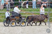 243 A LB 0696    © Daniela und Christian Bittner u.a.    Alle Inhalte auf diesen Webseiten sind urheberrechtlich geschützt. Kein Teil der hier abrufbaren Inhalte darf ohne ausdrückliche schriftliche Erlaubnis des Fotografen reproduziert, gedruckt, übersetzt, in digitaler Form weiterbearbeitet, in Archive übernommen oder Dritten unter einer fremden URL zugänglich gemacht werden.   Fotografen: AE .. A. Esdar, AH .. A. Helmle, CB .. Chr. Bittner, DB .. D. Bittner, LB .. L. Bittner, BB .. B. Boschatzke,   HZ .. H. Ziegelbauer, IM .. I. Maierhöfer, KH .. K. Hauber, LE .. L. Esdar, ME .. M. Esdar, MEr .. M. Erhard,   RM .. R. Maierhöfer, SD .. S. Demchuk, TS .. T. Spaag-Wagner, UL .. U. Ladenburger, JW .. J. Wecker, EB .. E. Boschatzke,   JA .. J. Abele, MW .. Maria Walter, MB .. Manuel Bühler, GG .. Georg Gösele, CBa .. Christoph Bayrle, KZW .. Kathrin Zwerger, PG .. Peter Gösele, CME .. Carmen Müller-Epacher, GB .. Gebhard Bühler, AL .. Alisha Ladenburger, SV .. Susanne Habel-Veit, LV .. Lukas Veit.