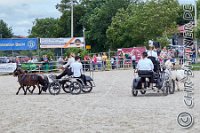 255 A LB 0740    © Daniela und Christian Bittner u.a.    Alle Inhalte auf diesen Webseiten sind urheberrechtlich geschützt. Kein Teil der hier abrufbaren Inhalte darf ohne ausdrückliche schriftliche Erlaubnis des Fotografen reproduziert, gedruckt, übersetzt, in digitaler Form weiterbearbeitet, in Archive übernommen oder Dritten unter einer fremden URL zugänglich gemacht werden.   Fotografen: AE .. A. Esdar, AH .. A. Helmle, CB .. Chr. Bittner, DB .. D. Bittner, LB .. L. Bittner, BB .. B. Boschatzke,   HZ .. H. Ziegelbauer, IM .. I. Maierhöfer, KH .. K. Hauber, LE .. L. Esdar, ME .. M. Esdar, MEr .. M. Erhard,   RM .. R. Maierhöfer, SD .. S. Demchuk, TS .. T. Spaag-Wagner, UL .. U. Ladenburger, JW .. J. Wecker, EB .. E. Boschatzke,   JA .. J. Abele, MW .. Maria Walter, MB .. Manuel Bühler, GG .. Georg Gösele, CBa .. Christoph Bayrle, KZW .. Kathrin Zwerger, PG .. Peter Gösele, CME .. Carmen Müller-Epacher, GB .. Gebhard Bühler, AL .. Alisha Ladenburger, SV .. Susanne Habel-Veit, LV .. Lukas Veit.