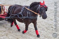 264 A LB 0776    © Daniela und Christian Bittner u.a.    Alle Inhalte auf diesen Webseiten sind urheberrechtlich geschützt. Kein Teil der hier abrufbaren Inhalte darf ohne ausdrückliche schriftliche Erlaubnis des Fotografen reproduziert, gedruckt, übersetzt, in digitaler Form weiterbearbeitet, in Archive übernommen oder Dritten unter einer fremden URL zugänglich gemacht werden.   Fotografen: AE .. A. Esdar, AH .. A. Helmle, CB .. Chr. Bittner, DB .. D. Bittner, LB .. L. Bittner, BB .. B. Boschatzke,   HZ .. H. Ziegelbauer, IM .. I. Maierhöfer, KH .. K. Hauber, LE .. L. Esdar, ME .. M. Esdar, MEr .. M. Erhard,   RM .. R. Maierhöfer, SD .. S. Demchuk, TS .. T. Spaag-Wagner, UL .. U. Ladenburger, JW .. J. Wecker, EB .. E. Boschatzke,   JA .. J. Abele, MW .. Maria Walter, MB .. Manuel Bühler, GG .. Georg Gösele, CBa .. Christoph Bayrle, KZW .. Kathrin Zwerger, PG .. Peter Gösele, CME .. Carmen Müller-Epacher, GB .. Gebhard Bühler, AL .. Alisha Ladenburger, SV .. Susanne Habel-Veit, LV .. Lukas Veit.