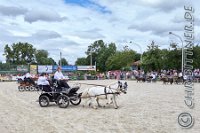 266 A LB 0784    © Daniela und Christian Bittner u.a.    Alle Inhalte auf diesen Webseiten sind urheberrechtlich geschützt. Kein Teil der hier abrufbaren Inhalte darf ohne ausdrückliche schriftliche Erlaubnis des Fotografen reproduziert, gedruckt, übersetzt, in digitaler Form weiterbearbeitet, in Archive übernommen oder Dritten unter einer fremden URL zugänglich gemacht werden.   Fotografen: AE .. A. Esdar, AH .. A. Helmle, CB .. Chr. Bittner, DB .. D. Bittner, LB .. L. Bittner, BB .. B. Boschatzke,   HZ .. H. Ziegelbauer, IM .. I. Maierhöfer, KH .. K. Hauber, LE .. L. Esdar, ME .. M. Esdar, MEr .. M. Erhard,   RM .. R. Maierhöfer, SD .. S. Demchuk, TS .. T. Spaag-Wagner, UL .. U. Ladenburger, JW .. J. Wecker, EB .. E. Boschatzke,   JA .. J. Abele, MW .. Maria Walter, MB .. Manuel Bühler, GG .. Georg Gösele, CBa .. Christoph Bayrle, KZW .. Kathrin Zwerger, PG .. Peter Gösele, CME .. Carmen Müller-Epacher, GB .. Gebhard Bühler, AL .. Alisha Ladenburger, SV .. Susanne Habel-Veit, LV .. Lukas Veit.
