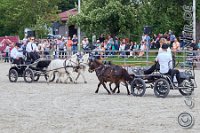 281 A LB 0839    © Daniela und Christian Bittner u.a.    Alle Inhalte auf diesen Webseiten sind urheberrechtlich geschützt. Kein Teil der hier abrufbaren Inhalte darf ohne ausdrückliche schriftliche Erlaubnis des Fotografen reproduziert, gedruckt, übersetzt, in digitaler Form weiterbearbeitet, in Archive übernommen oder Dritten unter einer fremden URL zugänglich gemacht werden.   Fotografen: AE .. A. Esdar, AH .. A. Helmle, CB .. Chr. Bittner, DB .. D. Bittner, LB .. L. Bittner, BB .. B. Boschatzke,   HZ .. H. Ziegelbauer, IM .. I. Maierhöfer, KH .. K. Hauber, LE .. L. Esdar, ME .. M. Esdar, MEr .. M. Erhard,   RM .. R. Maierhöfer, SD .. S. Demchuk, TS .. T. Spaag-Wagner, UL .. U. Ladenburger, JW .. J. Wecker, EB .. E. Boschatzke,   JA .. J. Abele, MW .. Maria Walter, MB .. Manuel Bühler, GG .. Georg Gösele, CBa .. Christoph Bayrle, KZW .. Kathrin Zwerger, PG .. Peter Gösele, CME .. Carmen Müller-Epacher, GB .. Gebhard Bühler, AL .. Alisha Ladenburger, SV .. Susanne Habel-Veit, LV .. Lukas Veit.