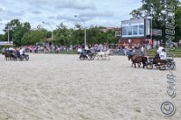 282 A LB 0842    © Daniela und Christian Bittner u.a.    Alle Inhalte auf diesen Webseiten sind urheberrechtlich geschützt. Kein Teil der hier abrufbaren Inhalte darf ohne ausdrückliche schriftliche Erlaubnis des Fotografen reproduziert, gedruckt, übersetzt, in digitaler Form weiterbearbeitet, in Archive übernommen oder Dritten unter einer fremden URL zugänglich gemacht werden.   Fotografen: AE .. A. Esdar, AH .. A. Helmle, CB .. Chr. Bittner, DB .. D. Bittner, LB .. L. Bittner, BB .. B. Boschatzke,   HZ .. H. Ziegelbauer, IM .. I. Maierhöfer, KH .. K. Hauber, LE .. L. Esdar, ME .. M. Esdar, MEr .. M. Erhard,   RM .. R. Maierhöfer, SD .. S. Demchuk, TS .. T. Spaag-Wagner, UL .. U. Ladenburger, JW .. J. Wecker, EB .. E. Boschatzke,   JA .. J. Abele, MW .. Maria Walter, MB .. Manuel Bühler, GG .. Georg Gösele, CBa .. Christoph Bayrle, KZW .. Kathrin Zwerger, PG .. Peter Gösele, CME .. Carmen Müller-Epacher, GB .. Gebhard Bühler, AL .. Alisha Ladenburger, SV .. Susanne Habel-Veit, LV .. Lukas Veit.