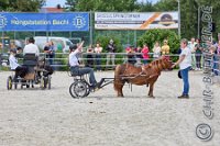 290 A CB 0312    © Daniela und Christian Bittner u.a.    Alle Inhalte auf diesen Webseiten sind urheberrechtlich geschützt. Kein Teil der hier abrufbaren Inhalte darf ohne ausdrückliche schriftliche Erlaubnis des Fotografen reproduziert, gedruckt, übersetzt, in digitaler Form weiterbearbeitet, in Archive übernommen oder Dritten unter einer fremden URL zugänglich gemacht werden.   Fotografen: AE .. A. Esdar, AH .. A. Helmle, CB .. Chr. Bittner, DB .. D. Bittner, LB .. L. Bittner, BB .. B. Boschatzke,   HZ .. H. Ziegelbauer, IM .. I. Maierhöfer, KH .. K. Hauber, LE .. L. Esdar, ME .. M. Esdar, MEr .. M. Erhard,   RM .. R. Maierhöfer, SD .. S. Demchuk, TS .. T. Spaag-Wagner, UL .. U. Ladenburger, JW .. J. Wecker, EB .. E. Boschatzke,   JA .. J. Abele, MW .. Maria Walter, MB .. Manuel Bühler, GG .. Georg Gösele, CBa .. Christoph Bayrle, KZW .. Kathrin Zwerger, PG .. Peter Gösele, CME .. Carmen Müller-Epacher, GB .. Gebhard Bühler, AL .. Alisha Ladenburger, SV .. Susanne Habel-Veit, LV .. Lukas Veit.