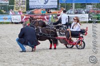 291 A LB 0865    © Daniela und Christian Bittner u.a.    Alle Inhalte auf diesen Webseiten sind urheberrechtlich geschützt. Kein Teil der hier abrufbaren Inhalte darf ohne ausdrückliche schriftliche Erlaubnis des Fotografen reproduziert, gedruckt, übersetzt, in digitaler Form weiterbearbeitet, in Archive übernommen oder Dritten unter einer fremden URL zugänglich gemacht werden.   Fotografen: AE .. A. Esdar, AH .. A. Helmle, CB .. Chr. Bittner, DB .. D. Bittner, LB .. L. Bittner, BB .. B. Boschatzke,   HZ .. H. Ziegelbauer, IM .. I. Maierhöfer, KH .. K. Hauber, LE .. L. Esdar, ME .. M. Esdar, MEr .. M. Erhard,   RM .. R. Maierhöfer, SD .. S. Demchuk, TS .. T. Spaag-Wagner, UL .. U. Ladenburger, JW .. J. Wecker, EB .. E. Boschatzke,   JA .. J. Abele, MW .. Maria Walter, MB .. Manuel Bühler, GG .. Georg Gösele, CBa .. Christoph Bayrle, KZW .. Kathrin Zwerger, PG .. Peter Gösele, CME .. Carmen Müller-Epacher, GB .. Gebhard Bühler, AL .. Alisha Ladenburger, SV .. Susanne Habel-Veit, LV .. Lukas Veit.