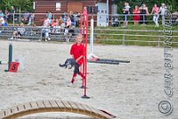 10 Hobbyhorsing
