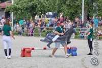 384 A LB 1187    © Daniela und Christian Bittner u.a.    Alle Inhalte auf diesen Webseiten sind urheberrechtlich geschützt. Kein Teil der hier abrufbaren Inhalte darf ohne ausdrückliche schriftliche Erlaubnis des Fotografen reproduziert, gedruckt, übersetzt, in digitaler Form weiterbearbeitet, in Archive übernommen oder Dritten unter einer fremden URL zugänglich gemacht werden.   Fotografen: AE .. A. Esdar, AH .. A. Helmle, CB .. Chr. Bittner, DB .. D. Bittner, LB .. L. Bittner, BB .. B. Boschatzke,   HZ .. H. Ziegelbauer, IM .. I. Maierhöfer, KH .. K. Hauber, LE .. L. Esdar, ME .. M. Esdar, MEr .. M. Erhard,   RM .. R. Maierhöfer, SD .. S. Demchuk, TS .. T. Spaag-Wagner, UL .. U. Ladenburger, JW .. J. Wecker, EB .. E. Boschatzke,   JA .. J. Abele, MW .. Maria Walter, MB .. Manuel Bühler, GG .. Georg Gösele, CBa .. Christoph Bayrle, KZW .. Kathrin Zwerger, PG .. Peter Gösele, CME .. Carmen Müller-Epacher, GB .. Gebhard Bühler, AL .. Alisha Ladenburger, SV .. Susanne Habel-Veit, LV .. Lukas Veit.