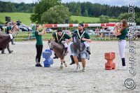 11 Spezialpferde Springen