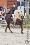 470 A LB 1369    © Daniela und Christian Bittner u.a.    Alle Inhalte auf diesen Webseiten sind urheberrechtlich geschützt. Kein Teil der hier abrufbaren Inhalte darf ohne ausdrückliche schriftliche Erlaubnis des Fotografen reproduziert, gedruckt, übersetzt, in digitaler Form weiterbearbeitet, in Archive übernommen oder Dritten unter einer fremden URL zugänglich gemacht werden.   Fotografen: AE .. A. Esdar, AH .. A. Helmle, CB .. Chr. Bittner, DB .. D. Bittner, LB .. L. Bittner, BB .. B. Boschatzke,   HZ .. H. Ziegelbauer, IM .. I. Maierhöfer, KH .. K. Hauber, LE .. L. Esdar, ME .. M. Esdar, MEr .. M. Erhard,   RM .. R. Maierhöfer, SD .. S. Demchuk, TS .. T. Spaag-Wagner, UL .. U. Ladenburger, JW .. J. Wecker, EB .. E. Boschatzke,   JA .. J. Abele, MW .. Maria Walter, MB .. Manuel Bühler, GG .. Georg Gösele, CBa .. Christoph Bayrle, KZW .. Kathrin Zwerger, PG .. Peter Gösele, CME .. Carmen Müller-Epacher, GB .. Gebhard Bühler, AL .. Alisha Ladenburger, SV .. Susanne Habel-Veit, LV .. Lukas Veit.