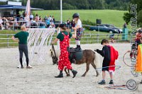 14 Zirkus und Finale