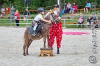 603 A LB 1749    © Daniela und Christian Bittner u.a.    Alle Inhalte auf diesen Webseiten sind urheberrechtlich geschützt. Kein Teil der hier abrufbaren Inhalte darf ohne ausdrückliche schriftliche Erlaubnis des Fotografen reproduziert, gedruckt, übersetzt, in digitaler Form weiterbearbeitet, in Archive übernommen oder Dritten unter einer fremden URL zugänglich gemacht werden.   Fotografen: AE .. A. Esdar, AH .. A. Helmle, CB .. Chr. Bittner, DB .. D. Bittner, LB .. L. Bittner, BB .. B. Boschatzke,   HZ .. H. Ziegelbauer, IM .. I. Maierhöfer, KH .. K. Hauber, LE .. L. Esdar, ME .. M. Esdar, MEr .. M. Erhard,   RM .. R. Maierhöfer, SD .. S. Demchuk, TS .. T. Spaag-Wagner, UL .. U. Ladenburger, JW .. J. Wecker, EB .. E. Boschatzke,   JA .. J. Abele, MW .. Maria Walter, MB .. Manuel Bühler, GG .. Georg Gösele, CBa .. Christoph Bayrle, KZW .. Kathrin Zwerger, PG .. Peter Gösele, CME .. Carmen Müller-Epacher, GB .. Gebhard Bühler, AL .. Alisha Ladenburger, SV .. Susanne Habel-Veit, LV .. Lukas Veit.