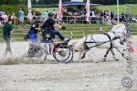 654 B CB 0128    © Daniela und Christian Bittner u.a.    Alle Inhalte auf diesen Webseiten sind urheberrechtlich geschützt. Kein Teil der hier abrufbaren Inhalte darf ohne ausdrückliche schriftliche Erlaubnis des Fotografen reproduziert, gedruckt, übersetzt, in digitaler Form weiterbearbeitet, in Archive übernommen oder Dritten unter einer fremden URL zugänglich gemacht werden.   Fotografen: AE .. A. Esdar, AH .. A. Helmle, CB .. Chr. Bittner, DB .. D. Bittner, LB .. L. Bittner, BB .. B. Boschatzke,   HZ .. H. Ziegelbauer, IM .. I. Maierhöfer, KH .. K. Hauber, LE .. L. Esdar, ME .. M. Esdar, MEr .. M. Erhard,   RM .. R. Maierhöfer, SD .. S. Demchuk, TS .. T. Spaag-Wagner, UL .. U. Ladenburger, JW .. J. Wecker, EB .. E. Boschatzke,   JA .. J. Abele, MW .. Maria Walter, MB .. Manuel Bühler, GG .. Georg Gösele, CBa .. Christoph Bayrle, KZW .. Kathrin Zwerger, PG .. Peter Gösele, CME .. Carmen Müller-Epacher, GB .. Gebhard Bühler, AL .. Alisha Ladenburger, SV .. Susanne Habel-Veit, LV .. Lukas Veit.