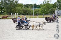 021 A DB 0126    © Daniela und Christian Bittner u.a.    Alle Inhalte auf diesen Webseiten sind urheberrechtlich geschützt. Kein Teil der hier abrufbaren Inhalte darf ohne ausdrückliche schriftliche Erlaubnis des Fotografen reproduziert, gedruckt, übersetzt, in digitaler Form weiterbearbeitet, in Archive übernommen oder Dritten unter einer fremden URL zugänglich gemacht werden.   Fotografen: AE .. A. Esdar, AH .. A. Helmle, CB .. Chr. Bittner, DB .. D. Bittner, LB .. L. Bittner, BB .. B. Boschatzke,   HZ .. H. Ziegelbauer, IM .. I. Maierhöfer, KH .. K. Hauber, LE .. L. Esdar, ME .. M. Esdar, MEr .. M. Erhard,   RM .. R. Maierhöfer, SD .. S. Demchuk, TS .. T. Spaag-Wagner, UL .. U. Ladenburger, JW .. J. Wecker, EB .. E. Boschatzke,   JA .. J. Abele, MW .. Maria Walter, MB .. Manuel Bühler, GG .. Georg Gösele, CBa .. Christoph Bayrle, KZW .. Kathrin Zwerger, PG .. Peter Gösele, CME .. Carmen Müller-Epacher, GB .. Gebhard Bühler, AL .. Alisha Ladenburger, SV .. Susanne Habel-Veit, LV .. Lukas Veit.