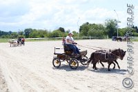 044 B DB 0018    © Daniela und Christian Bittner u.a.    Alle Inhalte auf diesen Webseiten sind urheberrechtlich geschützt. Kein Teil der hier abrufbaren Inhalte darf ohne ausdrückliche schriftliche Erlaubnis des Fotografen reproduziert, gedruckt, übersetzt, in digitaler Form weiterbearbeitet, in Archive übernommen oder Dritten unter einer fremden URL zugänglich gemacht werden.   Fotografen: AE .. A. Esdar, AH .. A. Helmle, CB .. Chr. Bittner, DB .. D. Bittner, LB .. L. Bittner, BB .. B. Boschatzke,   HZ .. H. Ziegelbauer, IM .. I. Maierhöfer, KH .. K. Hauber, LE .. L. Esdar, ME .. M. Esdar, MEr .. M. Erhard,   RM .. R. Maierhöfer, SD .. S. Demchuk, TS .. T. Spaag-Wagner, UL .. U. Ladenburger, JW .. J. Wecker, EB .. E. Boschatzke,   JA .. J. Abele, MW .. Maria Walter, MB .. Manuel Bühler, GG .. Georg Gösele, CBa .. Christoph Bayrle, KZW .. Kathrin Zwerger, PG .. Peter Gösele, CME .. Carmen Müller-Epacher, GB .. Gebhard Bühler, AL .. Alisha Ladenburger, SV .. Susanne Habel-Veit, LV .. Lukas Veit.