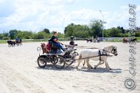 048 B DB 0026    © Daniela und Christian Bittner u.a.    Alle Inhalte auf diesen Webseiten sind urheberrechtlich geschützt. Kein Teil der hier abrufbaren Inhalte darf ohne ausdrückliche schriftliche Erlaubnis des Fotografen reproduziert, gedruckt, übersetzt, in digitaler Form weiterbearbeitet, in Archive übernommen oder Dritten unter einer fremden URL zugänglich gemacht werden.   Fotografen: AE .. A. Esdar, AH .. A. Helmle, CB .. Chr. Bittner, DB .. D. Bittner, LB .. L. Bittner, BB .. B. Boschatzke,   HZ .. H. Ziegelbauer, IM .. I. Maierhöfer, KH .. K. Hauber, LE .. L. Esdar, ME .. M. Esdar, MEr .. M. Erhard,   RM .. R. Maierhöfer, SD .. S. Demchuk, TS .. T. Spaag-Wagner, UL .. U. Ladenburger, JW .. J. Wecker, EB .. E. Boschatzke,   JA .. J. Abele, MW .. Maria Walter, MB .. Manuel Bühler, GG .. Georg Gösele, CBa .. Christoph Bayrle, KZW .. Kathrin Zwerger, PG .. Peter Gösele, CME .. Carmen Müller-Epacher, GB .. Gebhard Bühler, AL .. Alisha Ladenburger, SV .. Susanne Habel-Veit, LV .. Lukas Veit.