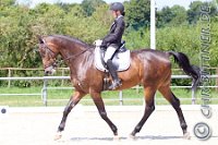L-Dressur-Sonntag