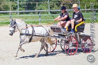 104 B DB 0420    © Daniela und Christian Bittner u.a.    Alle Inhalte auf diesen Webseiten sind urheberrechtlich geschützt. Kein Teil der hier abrufbaren Inhalte darf ohne ausdrückliche schriftliche Erlaubnis des Fotografen reproduziert, gedruckt, übersetzt, in digitaler Form weiterbearbeitet, in Archive übernommen oder Dritten unter einer fremden URL zugänglich gemacht werden.   Fotografen: AE .. A. Esdar, AH .. A. Helmle, CB .. Chr. Bittner, DB .. D. Bittner, LB .. L. Bittner, BB .. B. Boschatzke,   HZ .. H. Ziegelbauer, IM .. I. Maierhöfer, KH .. K. Hauber, LE .. L. Esdar, ME .. M. Esdar, MEr .. M. Erhard,   RM .. R. Maierhöfer, SD .. S. Demchuk, TS .. T. Spaag-Wagner, UL .. U. Ladenburger, JW .. J. Wecker, EB .. E. Boschatzke,   JA .. J. Abele, MW .. Maria Walter, MB .. Manuel Bühler, GG .. Georg Gösele, CBa .. Christoph Bayrle, KZW .. Kathrin Zwerger, PG .. Peter Gösele, CME .. Carmen Müller-Epacher, GB .. Gebhard Bühler, AL .. Alisha Ladenburger, SV .. Susanne Habel-Veit.