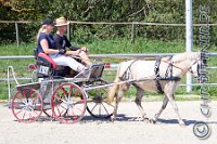175 B DB 0766    © Daniela und Christian Bittner u.a.    Alle Inhalte auf diesen Webseiten sind urheberrechtlich geschützt. Kein Teil der hier abrufbaren Inhalte darf ohne ausdrückliche schriftliche Erlaubnis des Fotografen reproduziert, gedruckt, übersetzt, in digitaler Form weiterbearbeitet, in Archive übernommen oder Dritten unter einer fremden URL zugänglich gemacht werden.   Fotografen: AE .. A. Esdar, AH .. A. Helmle, CB .. Chr. Bittner, DB .. D. Bittner, LB .. L. Bittner, BB .. B. Boschatzke,   HZ .. H. Ziegelbauer, IM .. I. Maierhöfer, KH .. K. Hauber, LE .. L. Esdar, ME .. M. Esdar, MEr .. M. Erhard,   RM .. R. Maierhöfer, SD .. S. Demchuk, TS .. T. Spaag-Wagner, UL .. U. Ladenburger, JW .. J. Wecker, EB .. E. Boschatzke,   JA .. J. Abele, MW .. Maria Walter, MB .. Manuel Bühler, GG .. Georg Gösele, CBa .. Christoph Bayrle, KZW .. Kathrin Zwerger, PG .. Peter Gösele, CME .. Carmen Müller-Epacher, GB .. Gebhard Bühler, AL .. Alisha Ladenburger, SV .. Susanne Habel-Veit.