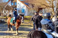006 A KA 0011    © Daniela und Christian Bittner u.a.    Alle Inhalte auf diesen Webseiten sind urheberrechtlich geschützt. Kein Teil der hier abrufbaren Inhalte darf ohne ausdrückliche schriftliche Erlaubnis des Fotografen reproduziert, gedruckt, übersetzt, in digitaler Form weiterbearbeitet, in Archive übernommen oder Dritten unter einer fremden URL zugänglich gemacht werden.   Fotografen: AE .. A. Esdar, AH .. A. Helmle, CB .. Chr. Bittner, DB .. D. Bittner, LB .. L. Bittner, BB .. B. Boschatzke,   HZ .. H. Ziegelbauer, IM .. I. Maierhöfer, KH .. K. Hauber, LE .. L. Esdar, ME .. M. Esdar, MEr .. M. Erhard,   RM .. R. Maierhöfer, SD .. S. Demchuk, TS .. T. Spaag-Wagner, UL .. U. Ladenburger, JW .. J. Wecker, EB .. E. Boschatzke,   JA .. J. Abele, MW .. Maria Walter, MB .. Manuel Bühler, GG .. Georg Gösele, CBa .. Christoph Bayrle, KZW .. Kathrin Zwerger, PG .. Peter Gösele, CME .. Carmen Müller-Epacher, GB .. Gebhard Bühler, AL .. Alisha Ladenburger, SV .. Susanne Habel-Veit.