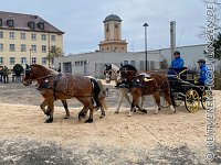 007 A AL 0017    © Daniela und Christian Bittner u.a.    Alle Inhalte auf diesen Webseiten sind urheberrechtlich geschützt. Kein Teil der hier abrufbaren Inhalte darf ohne ausdrückliche schriftliche Erlaubnis des Fotografen reproduziert, gedruckt, übersetzt, in digitaler Form weiterbearbeitet, in Archive übernommen oder Dritten unter einer fremden URL zugänglich gemacht werden.   Fotografen: AE .. A. Esdar, AH .. A. Helmle, CB .. Chr. Bittner, DB .. D. Bittner, LB .. L. Bittner, BB .. B. Boschatzke,   HZ .. H. Ziegelbauer, IM .. I. Maierhöfer, KH .. K. Hauber, LE .. L. Esdar, ME .. M. Esdar, MEr .. M. Erhard,   RM .. R. Maierhöfer, SD .. S. Demchuk, TS .. T. Spaag-Wagner, UL .. U. Ladenburger, JW .. J. Wecker, EB .. E. Boschatzke,   JA .. J. Abele, MW .. Maria Walter, MB .. Manuel Bühler, GG .. Georg Gösele, CBa .. Christoph Bayrle, KZW .. Kathrin Zwerger, PG .. Peter Gösele, CME .. Carmen Müller-Epacher, GB .. Gebhard Bühler, AL .. Alisha Ladenburger, SV .. Susanne Habel-Veit.