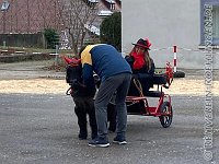 008 A AL 0004    © Daniela und Christian Bittner u.a.    Alle Inhalte auf diesen Webseiten sind urheberrechtlich geschützt. Kein Teil der hier abrufbaren Inhalte darf ohne ausdrückliche schriftliche Erlaubnis des Fotografen reproduziert, gedruckt, übersetzt, in digitaler Form weiterbearbeitet, in Archive übernommen oder Dritten unter einer fremden URL zugänglich gemacht werden.   Fotografen: AE .. A. Esdar, AH .. A. Helmle, CB .. Chr. Bittner, DB .. D. Bittner, LB .. L. Bittner, BB .. B. Boschatzke,   HZ .. H. Ziegelbauer, IM .. I. Maierhöfer, KH .. K. Hauber, LE .. L. Esdar, ME .. M. Esdar, MEr .. M. Erhard,   RM .. R. Maierhöfer, SD .. S. Demchuk, TS .. T. Spaag-Wagner, UL .. U. Ladenburger, JW .. J. Wecker, EB .. E. Boschatzke,   JA .. J. Abele, MW .. Maria Walter, MB .. Manuel Bühler, GG .. Georg Gösele, CBa .. Christoph Bayrle, KZW .. Kathrin Zwerger, PG .. Peter Gösele, CME .. Carmen Müller-Epacher, GB .. Gebhard Bühler, AL .. Alisha Ladenburger, SV .. Susanne Habel-Veit.