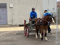 010 A AL 0007    © Daniela und Christian Bittner u.a.    Alle Inhalte auf diesen Webseiten sind urheberrechtlich geschützt. Kein Teil der hier abrufbaren Inhalte darf ohne ausdrückliche schriftliche Erlaubnis des Fotografen reproduziert, gedruckt, übersetzt, in digitaler Form weiterbearbeitet, in Archive übernommen oder Dritten unter einer fremden URL zugänglich gemacht werden.   Fotografen: AE .. A. Esdar, AH .. A. Helmle, CB .. Chr. Bittner, DB .. D. Bittner, LB .. L. Bittner, BB .. B. Boschatzke,   HZ .. H. Ziegelbauer, IM .. I. Maierhöfer, KH .. K. Hauber, LE .. L. Esdar, ME .. M. Esdar, MEr .. M. Erhard,   RM .. R. Maierhöfer, SD .. S. Demchuk, TS .. T. Spaag-Wagner, UL .. U. Ladenburger, JW .. J. Wecker, EB .. E. Boschatzke,   JA .. J. Abele, MW .. Maria Walter, MB .. Manuel Bühler, GG .. Georg Gösele, CBa .. Christoph Bayrle, KZW .. Kathrin Zwerger, PG .. Peter Gösele, CME .. Carmen Müller-Epacher, GB .. Gebhard Bühler, AL .. Alisha Ladenburger, SV .. Susanne Habel-Veit.