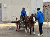 012 A AL 0008    © Daniela und Christian Bittner u.a.    Alle Inhalte auf diesen Webseiten sind urheberrechtlich geschützt. Kein Teil der hier abrufbaren Inhalte darf ohne ausdrückliche schriftliche Erlaubnis des Fotografen reproduziert, gedruckt, übersetzt, in digitaler Form weiterbearbeitet, in Archive übernommen oder Dritten unter einer fremden URL zugänglich gemacht werden.   Fotografen: AE .. A. Esdar, AH .. A. Helmle, CB .. Chr. Bittner, DB .. D. Bittner, LB .. L. Bittner, BB .. B. Boschatzke,   HZ .. H. Ziegelbauer, IM .. I. Maierhöfer, KH .. K. Hauber, LE .. L. Esdar, ME .. M. Esdar, MEr .. M. Erhard,   RM .. R. Maierhöfer, SD .. S. Demchuk, TS .. T. Spaag-Wagner, UL .. U. Ladenburger, JW .. J. Wecker, EB .. E. Boschatzke,   JA .. J. Abele, MW .. Maria Walter, MB .. Manuel Bühler, GG .. Georg Gösele, CBa .. Christoph Bayrle, KZW .. Kathrin Zwerger, PG .. Peter Gösele, CME .. Carmen Müller-Epacher, GB .. Gebhard Bühler, AL .. Alisha Ladenburger, SV .. Susanne Habel-Veit.