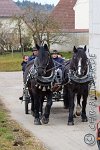 021 A DB 0096    © Daniela und Christian Bittner u.a.    Alle Inhalte auf diesen Webseiten sind urheberrechtlich geschützt. Kein Teil der hier abrufbaren Inhalte darf ohne ausdrückliche schriftliche Erlaubnis des Fotografen reproduziert, gedruckt, übersetzt, in digitaler Form weiterbearbeitet, in Archive übernommen oder Dritten unter einer fremden URL zugänglich gemacht werden.   Fotografen: AE .. A. Esdar, AH .. A. Helmle, CB .. Chr. Bittner, DB .. D. Bittner, LB .. L. Bittner, BB .. B. Boschatzke,   HZ .. H. Ziegelbauer, IM .. I. Maierhöfer, KH .. K. Hauber, LE .. L. Esdar, ME .. M. Esdar, MEr .. M. Erhard,   RM .. R. Maierhöfer, SD .. S. Demchuk, TS .. T. Spaag-Wagner, UL .. U. Ladenburger, JW .. J. Wecker, EB .. E. Boschatzke,   JA .. J. Abele, MW .. Maria Walter, MB .. Manuel Bühler, GG .. Georg Gösele, CBa .. Christoph Bayrle, KZW .. Kathrin Zwerger, PG .. Peter Gösele, CME .. Carmen Müller-Epacher, GB .. Gebhard Bühler, AL .. Alisha Ladenburger, SV .. Susanne Habel-Veit, LV .. Lukas Veit.