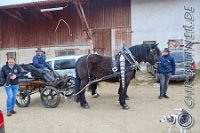 029 A DB 0117    © Daniela und Christian Bittner u.a.    Alle Inhalte auf diesen Webseiten sind urheberrechtlich geschützt. Kein Teil der hier abrufbaren Inhalte darf ohne ausdrückliche schriftliche Erlaubnis des Fotografen reproduziert, gedruckt, übersetzt, in digitaler Form weiterbearbeitet, in Archive übernommen oder Dritten unter einer fremden URL zugänglich gemacht werden.   Fotografen: AE .. A. Esdar, AH .. A. Helmle, CB .. Chr. Bittner, DB .. D. Bittner, LB .. L. Bittner, BB .. B. Boschatzke,   HZ .. H. Ziegelbauer, IM .. I. Maierhöfer, KH .. K. Hauber, LE .. L. Esdar, ME .. M. Esdar, MEr .. M. Erhard,   RM .. R. Maierhöfer, SD .. S. Demchuk, TS .. T. Spaag-Wagner, UL .. U. Ladenburger, JW .. J. Wecker, EB .. E. Boschatzke,   JA .. J. Abele, MW .. Maria Walter, MB .. Manuel Bühler, GG .. Georg Gösele, CBa .. Christoph Bayrle, KZW .. Kathrin Zwerger, PG .. Peter Gösele, CME .. Carmen Müller-Epacher, GB .. Gebhard Bühler, AL .. Alisha Ladenburger, SV .. Susanne Habel-Veit, LV .. Lukas Veit.