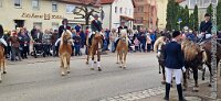 009 A GB 0009    © Daniela und Christian Bittner u.a.    Alle Inhalte auf diesen Webseiten sind urheberrechtlich geschützt. Kein Teil der hier abrufbaren Inhalte darf ohne ausdrückliche schriftliche Erlaubnis des Fotografen reproduziert, gedruckt, übersetzt, in digitaler Form weiterbearbeitet, in Archive übernommen oder Dritten unter einer fremden URL zugänglich gemacht werden.   Fotografen: AE .. A. Esdar, AH .. A. Helmle, CB .. Chr. Bittner, DB .. D. Bittner, LB .. L. Bittner, BB .. B. Boschatzke,   HZ .. H. Ziegelbauer, IM .. I. Maierhöfer, KH .. K. Hauber, LE .. L. Esdar, ME .. M. Esdar, MEr .. M. Erhard,   RM .. R. Maierhöfer, SD .. S. Demchuk, TS .. T. Spaag-Wagner, UL .. U. Ladenburger, JW .. J. Wecker, EB .. E. Boschatzke,   JA .. J. Abele, MW .. Maria Walter, MB .. Manuel Bühler, GG .. Georg Gösele, CBa .. Christoph Bayrle, KZW .. Kathrin Zwerger, PG .. Peter Gösele, CME .. Carmen Müller-Epacher, GB .. Gebhard Bühler, AL .. Alisha Ladenburger, SV .. Susanne Habel-Veit, LV .. Lukas Veit.