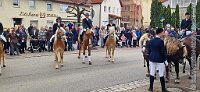 010 A IM 0001    © Daniela und Christian Bittner u.a.    Alle Inhalte auf diesen Webseiten sind urheberrechtlich geschützt. Kein Teil der hier abrufbaren Inhalte darf ohne ausdrückliche schriftliche Erlaubnis des Fotografen reproduziert, gedruckt, übersetzt, in digitaler Form weiterbearbeitet, in Archive übernommen oder Dritten unter einer fremden URL zugänglich gemacht werden.   Fotografen: AE .. A. Esdar, AH .. A. Helmle, CB .. Chr. Bittner, DB .. D. Bittner, LB .. L. Bittner, BB .. B. Boschatzke,   HZ .. H. Ziegelbauer, IM .. I. Maierhöfer, KH .. K. Hauber, LE .. L. Esdar, ME .. M. Esdar, MEr .. M. Erhard,   RM .. R. Maierhöfer, SD .. S. Demchuk, TS .. T. Spaag-Wagner, UL .. U. Ladenburger, JW .. J. Wecker, EB .. E. Boschatzke,   JA .. J. Abele, MW .. Maria Walter, MB .. Manuel Bühler, GG .. Georg Gösele, CBa .. Christoph Bayrle, KZW .. Kathrin Zwerger, PG .. Peter Gösele, CME .. Carmen Müller-Epacher, GB .. Gebhard Bühler, AL .. Alisha Ladenburger, SV .. Susanne Habel-Veit, LV .. Lukas Veit.