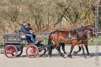 009 A AE 0010    © Daniela und Christian Bittner u.a.    Alle Inhalte auf diesen Webseiten sind urheberrechtlich geschützt. Kein Teil der hier abrufbaren Inhalte darf ohne ausdrückliche schriftliche Erlaubnis des Fotografen reproduziert, gedruckt, übersetzt, in digitaler Form weiterbearbeitet, in Archive übernommen oder Dritten unter einer fremden URL zugänglich gemacht werden.   Fotografen: AE .. A. Esdar, AH .. A. Helmle, CB .. Chr. Bittner, DB .. D. Bittner, LB .. L. Bittner, BB .. B. Boschatzke,   HZ .. H. Ziegelbauer, IM .. I. Maierhöfer, KH .. K. Hauber, LE .. L. Esdar, ME .. M. Esdar, MEr .. M. Erhard,   RM .. R. Maierhöfer, SD .. S. Demchuk, TS .. T. Spaag-Wagner, UL .. U. Ladenburger, JW .. J. Wecker, EB .. E. Boschatzke,   JA .. J. Abele, MW .. Maria Walter, MB .. Manuel Bühler, GG .. Georg Gösele, CBa .. Christoph Bayrle, KZW .. Kathrin Zwerger, PG .. Peter Gösele, CME .. Carmen Müller-Epacher, GB .. Gebhard Bühler, AL .. Alisha Ladenburger, SV .. Susanne Habel-Veit.