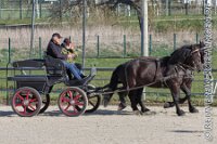 010 A AE 0012    © Daniela und Christian Bittner u.a.    Alle Inhalte auf diesen Webseiten sind urheberrechtlich geschützt. Kein Teil der hier abrufbaren Inhalte darf ohne ausdrückliche schriftliche Erlaubnis des Fotografen reproduziert, gedruckt, übersetzt, in digitaler Form weiterbearbeitet, in Archive übernommen oder Dritten unter einer fremden URL zugänglich gemacht werden.   Fotografen: AE .. A. Esdar, AH .. A. Helmle, CB .. Chr. Bittner, DB .. D. Bittner, LB .. L. Bittner, BB .. B. Boschatzke,   HZ .. H. Ziegelbauer, IM .. I. Maierhöfer, KH .. K. Hauber, LE .. L. Esdar, ME .. M. Esdar, MEr .. M. Erhard,   RM .. R. Maierhöfer, SD .. S. Demchuk, TS .. T. Spaag-Wagner, UL .. U. Ladenburger, JW .. J. Wecker, EB .. E. Boschatzke,   JA .. J. Abele, MW .. Maria Walter, MB .. Manuel Bühler, GG .. Georg Gösele, CBa .. Christoph Bayrle, KZW .. Kathrin Zwerger, PG .. Peter Gösele, CME .. Carmen Müller-Epacher, GB .. Gebhard Bühler, AL .. Alisha Ladenburger, SV .. Susanne Habel-Veit.