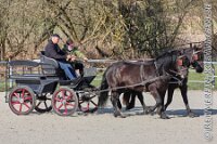 011 A AE 0013    © Daniela und Christian Bittner u.a.    Alle Inhalte auf diesen Webseiten sind urheberrechtlich geschützt. Kein Teil der hier abrufbaren Inhalte darf ohne ausdrückliche schriftliche Erlaubnis des Fotografen reproduziert, gedruckt, übersetzt, in digitaler Form weiterbearbeitet, in Archive übernommen oder Dritten unter einer fremden URL zugänglich gemacht werden.   Fotografen: AE .. A. Esdar, AH .. A. Helmle, CB .. Chr. Bittner, DB .. D. Bittner, LB .. L. Bittner, BB .. B. Boschatzke,   HZ .. H. Ziegelbauer, IM .. I. Maierhöfer, KH .. K. Hauber, LE .. L. Esdar, ME .. M. Esdar, MEr .. M. Erhard,   RM .. R. Maierhöfer, SD .. S. Demchuk, TS .. T. Spaag-Wagner, UL .. U. Ladenburger, JW .. J. Wecker, EB .. E. Boschatzke,   JA .. J. Abele, MW .. Maria Walter, MB .. Manuel Bühler, GG .. Georg Gösele, CBa .. Christoph Bayrle, KZW .. Kathrin Zwerger, PG .. Peter Gösele, CME .. Carmen Müller-Epacher, GB .. Gebhard Bühler, AL .. Alisha Ladenburger, SV .. Susanne Habel-Veit.