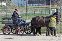 015 A AE 0018    © Daniela und Christian Bittner u.a.    Alle Inhalte auf diesen Webseiten sind urheberrechtlich geschützt. Kein Teil der hier abrufbaren Inhalte darf ohne ausdrückliche schriftliche Erlaubnis des Fotografen reproduziert, gedruckt, übersetzt, in digitaler Form weiterbearbeitet, in Archive übernommen oder Dritten unter einer fremden URL zugänglich gemacht werden.   Fotografen: AE .. A. Esdar, AH .. A. Helmle, CB .. Chr. Bittner, DB .. D. Bittner, LB .. L. Bittner, BB .. B. Boschatzke,   HZ .. H. Ziegelbauer, IM .. I. Maierhöfer, KH .. K. Hauber, LE .. L. Esdar, ME .. M. Esdar, MEr .. M. Erhard,   RM .. R. Maierhöfer, SD .. S. Demchuk, TS .. T. Spaag-Wagner, UL .. U. Ladenburger, JW .. J. Wecker, EB .. E. Boschatzke,   JA .. J. Abele, MW .. Maria Walter, MB .. Manuel Bühler, GG .. Georg Gösele, CBa .. Christoph Bayrle, KZW .. Kathrin Zwerger, PG .. Peter Gösele, CME .. Carmen Müller-Epacher, GB .. Gebhard Bühler, AL .. Alisha Ladenburger, SV .. Susanne Habel-Veit.