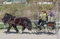 031 A AE 0035    © Daniela und Christian Bittner u.a.    Alle Inhalte auf diesen Webseiten sind urheberrechtlich geschützt. Kein Teil der hier abrufbaren Inhalte darf ohne ausdrückliche schriftliche Erlaubnis des Fotografen reproduziert, gedruckt, übersetzt, in digitaler Form weiterbearbeitet, in Archive übernommen oder Dritten unter einer fremden URL zugänglich gemacht werden.   Fotografen: AE .. A. Esdar, AH .. A. Helmle, CB .. Chr. Bittner, DB .. D. Bittner, LB .. L. Bittner, BB .. B. Boschatzke,   HZ .. H. Ziegelbauer, IM .. I. Maierhöfer, KH .. K. Hauber, LE .. L. Esdar, ME .. M. Esdar, MEr .. M. Erhard,   RM .. R. Maierhöfer, SD .. S. Demchuk, TS .. T. Spaag-Wagner, UL .. U. Ladenburger, JW .. J. Wecker, EB .. E. Boschatzke,   JA .. J. Abele, MW .. Maria Walter, MB .. Manuel Bühler, GG .. Georg Gösele, CBa .. Christoph Bayrle, KZW .. Kathrin Zwerger, PG .. Peter Gösele, CME .. Carmen Müller-Epacher, GB .. Gebhard Bühler, AL .. Alisha Ladenburger, SV .. Susanne Habel-Veit.