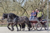 039 A AE 0045    © Daniela und Christian Bittner u.a.    Alle Inhalte auf diesen Webseiten sind urheberrechtlich geschützt. Kein Teil der hier abrufbaren Inhalte darf ohne ausdrückliche schriftliche Erlaubnis des Fotografen reproduziert, gedruckt, übersetzt, in digitaler Form weiterbearbeitet, in Archive übernommen oder Dritten unter einer fremden URL zugänglich gemacht werden.   Fotografen: AE .. A. Esdar, AH .. A. Helmle, CB .. Chr. Bittner, DB .. D. Bittner, LB .. L. Bittner, BB .. B. Boschatzke,   HZ .. H. Ziegelbauer, IM .. I. Maierhöfer, KH .. K. Hauber, LE .. L. Esdar, ME .. M. Esdar, MEr .. M. Erhard,   RM .. R. Maierhöfer, SD .. S. Demchuk, TS .. T. Spaag-Wagner, UL .. U. Ladenburger, JW .. J. Wecker, EB .. E. Boschatzke,   JA .. J. Abele, MW .. Maria Walter, MB .. Manuel Bühler, GG .. Georg Gösele, CBa .. Christoph Bayrle, KZW .. Kathrin Zwerger, PG .. Peter Gösele, CME .. Carmen Müller-Epacher, GB .. Gebhard Bühler, AL .. Alisha Ladenburger, SV .. Susanne Habel-Veit.