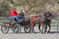 042 A AE 0049    © Daniela und Christian Bittner u.a.    Alle Inhalte auf diesen Webseiten sind urheberrechtlich geschützt. Kein Teil der hier abrufbaren Inhalte darf ohne ausdrückliche schriftliche Erlaubnis des Fotografen reproduziert, gedruckt, übersetzt, in digitaler Form weiterbearbeitet, in Archive übernommen oder Dritten unter einer fremden URL zugänglich gemacht werden.   Fotografen: AE .. A. Esdar, AH .. A. Helmle, CB .. Chr. Bittner, DB .. D. Bittner, LB .. L. Bittner, BB .. B. Boschatzke,   HZ .. H. Ziegelbauer, IM .. I. Maierhöfer, KH .. K. Hauber, LE .. L. Esdar, ME .. M. Esdar, MEr .. M. Erhard,   RM .. R. Maierhöfer, SD .. S. Demchuk, TS .. T. Spaag-Wagner, UL .. U. Ladenburger, JW .. J. Wecker, EB .. E. Boschatzke,   JA .. J. Abele, MW .. Maria Walter, MB .. Manuel Bühler, GG .. Georg Gösele, CBa .. Christoph Bayrle, KZW .. Kathrin Zwerger, PG .. Peter Gösele, CME .. Carmen Müller-Epacher, GB .. Gebhard Bühler, AL .. Alisha Ladenburger, SV .. Susanne Habel-Veit.