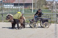 047 A AE 0055    © Daniela und Christian Bittner u.a.    Alle Inhalte auf diesen Webseiten sind urheberrechtlich geschützt. Kein Teil der hier abrufbaren Inhalte darf ohne ausdrückliche schriftliche Erlaubnis des Fotografen reproduziert, gedruckt, übersetzt, in digitaler Form weiterbearbeitet, in Archive übernommen oder Dritten unter einer fremden URL zugänglich gemacht werden.   Fotografen: AE .. A. Esdar, AH .. A. Helmle, CB .. Chr. Bittner, DB .. D. Bittner, LB .. L. Bittner, BB .. B. Boschatzke,   HZ .. H. Ziegelbauer, IM .. I. Maierhöfer, KH .. K. Hauber, LE .. L. Esdar, ME .. M. Esdar, MEr .. M. Erhard,   RM .. R. Maierhöfer, SD .. S. Demchuk, TS .. T. Spaag-Wagner, UL .. U. Ladenburger, JW .. J. Wecker, EB .. E. Boschatzke,   JA .. J. Abele, MW .. Maria Walter, MB .. Manuel Bühler, GG .. Georg Gösele, CBa .. Christoph Bayrle, KZW .. Kathrin Zwerger, PG .. Peter Gösele, CME .. Carmen Müller-Epacher, GB .. Gebhard Bühler, AL .. Alisha Ladenburger, SV .. Susanne Habel-Veit.