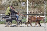 051 A AE 0059    © Daniela und Christian Bittner u.a.    Alle Inhalte auf diesen Webseiten sind urheberrechtlich geschützt. Kein Teil der hier abrufbaren Inhalte darf ohne ausdrückliche schriftliche Erlaubnis des Fotografen reproduziert, gedruckt, übersetzt, in digitaler Form weiterbearbeitet, in Archive übernommen oder Dritten unter einer fremden URL zugänglich gemacht werden.   Fotografen: AE .. A. Esdar, AH .. A. Helmle, CB .. Chr. Bittner, DB .. D. Bittner, LB .. L. Bittner, BB .. B. Boschatzke,   HZ .. H. Ziegelbauer, IM .. I. Maierhöfer, KH .. K. Hauber, LE .. L. Esdar, ME .. M. Esdar, MEr .. M. Erhard,   RM .. R. Maierhöfer, SD .. S. Demchuk, TS .. T. Spaag-Wagner, UL .. U. Ladenburger, JW .. J. Wecker, EB .. E. Boschatzke,   JA .. J. Abele, MW .. Maria Walter, MB .. Manuel Bühler, GG .. Georg Gösele, CBa .. Christoph Bayrle, KZW .. Kathrin Zwerger, PG .. Peter Gösele, CME .. Carmen Müller-Epacher, GB .. Gebhard Bühler, AL .. Alisha Ladenburger, SV .. Susanne Habel-Veit.