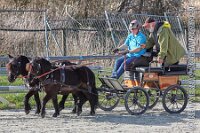 056 A AE 0064    © Daniela und Christian Bittner u.a.    Alle Inhalte auf diesen Webseiten sind urheberrechtlich geschützt. Kein Teil der hier abrufbaren Inhalte darf ohne ausdrückliche schriftliche Erlaubnis des Fotografen reproduziert, gedruckt, übersetzt, in digitaler Form weiterbearbeitet, in Archive übernommen oder Dritten unter einer fremden URL zugänglich gemacht werden.   Fotografen: AE .. A. Esdar, AH .. A. Helmle, CB .. Chr. Bittner, DB .. D. Bittner, LB .. L. Bittner, BB .. B. Boschatzke,   HZ .. H. Ziegelbauer, IM .. I. Maierhöfer, KH .. K. Hauber, LE .. L. Esdar, ME .. M. Esdar, MEr .. M. Erhard,   RM .. R. Maierhöfer, SD .. S. Demchuk, TS .. T. Spaag-Wagner, UL .. U. Ladenburger, JW .. J. Wecker, EB .. E. Boschatzke,   JA .. J. Abele, MW .. Maria Walter, MB .. Manuel Bühler, GG .. Georg Gösele, CBa .. Christoph Bayrle, KZW .. Kathrin Zwerger, PG .. Peter Gösele, CME .. Carmen Müller-Epacher, GB .. Gebhard Bühler, AL .. Alisha Ladenburger, SV .. Susanne Habel-Veit.
