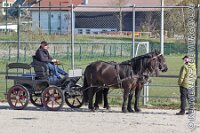 016 A AE 0019    © Daniela und Christian Bittner u.a.    Alle Inhalte auf diesen Webseiten sind urheberrechtlich geschützt. Kein Teil der hier abrufbaren Inhalte darf ohne ausdrückliche schriftliche Erlaubnis des Fotografen reproduziert, gedruckt, übersetzt, in digitaler Form weiterbearbeitet, in Archive übernommen oder Dritten unter einer fremden URL zugänglich gemacht werden.   Fotografen: AE .. A. Esdar, AH .. A. Helmle, CB .. Chr. Bittner, DB .. D. Bittner, LB .. L. Bittner, BB .. B. Boschatzke,   HZ .. H. Ziegelbauer, IM .. I. Maierhöfer, KH .. K. Hauber, LE .. L. Esdar, ME .. M. Esdar, MEr .. M. Erhard,   RM .. R. Maierhöfer, SD .. S. Demchuk, TS .. T. Spaag-Wagner, UL .. U. Ladenburger, JW .. J. Wecker, EB .. E. Boschatzke,   JA .. J. Abele, MW .. Maria Walter, MB .. Manuel Bühler, GG .. Georg Gösele, CBa .. Christoph Bayrle, KZW .. Kathrin Zwerger, PG .. Peter Gösele, CME .. Carmen Müller-Epacher, GB .. Gebhard Bühler, AL .. Alisha Ladenburger, SV .. Susanne Habel-Veit, LV .. Lukas Veit.