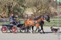 023 A AE 0026    © Daniela und Christian Bittner u.a.    Alle Inhalte auf diesen Webseiten sind urheberrechtlich geschützt. Kein Teil der hier abrufbaren Inhalte darf ohne ausdrückliche schriftliche Erlaubnis des Fotografen reproduziert, gedruckt, übersetzt, in digitaler Form weiterbearbeitet, in Archive übernommen oder Dritten unter einer fremden URL zugänglich gemacht werden.   Fotografen: AE .. A. Esdar, AH .. A. Helmle, CB .. Chr. Bittner, DB .. D. Bittner, LB .. L. Bittner, BB .. B. Boschatzke,   HZ .. H. Ziegelbauer, IM .. I. Maierhöfer, KH .. K. Hauber, LE .. L. Esdar, ME .. M. Esdar, MEr .. M. Erhard,   RM .. R. Maierhöfer, SD .. S. Demchuk, TS .. T. Spaag-Wagner, UL .. U. Ladenburger, JW .. J. Wecker, EB .. E. Boschatzke,   JA .. J. Abele, MW .. Maria Walter, MB .. Manuel Bühler, GG .. Georg Gösele, CBa .. Christoph Bayrle, KZW .. Kathrin Zwerger, PG .. Peter Gösele, CME .. Carmen Müller-Epacher, GB .. Gebhard Bühler, AL .. Alisha Ladenburger, SV .. Susanne Habel-Veit, LV .. Lukas Veit.