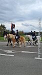 009 A GB 0007    © Daniela und Christian Bittner u.a.    Alle Inhalte auf diesen Webseiten sind urheberrechtlich geschützt. Kein Teil der hier abrufbaren Inhalte darf ohne ausdrückliche schriftliche Erlaubnis des Fotografen reproduziert, gedruckt, übersetzt, in digitaler Form weiterbearbeitet, in Archive übernommen oder Dritten unter einer fremden URL zugänglich gemacht werden.   Fotografen: AE .. A. Esdar, AH .. A. Helmle, CB .. Chr. Bittner, DB .. D. Bittner, LB .. L. Bittner, BB .. B. Boschatzke,   HZ .. H. Ziegelbauer, IM .. I. Maierhöfer, KH .. K. Hauber, LE .. L. Esdar, ME .. M. Esdar, MEr .. M. Erhard,   RM .. R. Maierhöfer, SD .. S. Demchuk, TS .. T. Spaag-Wagner, UL .. U. Ladenburger, JW .. J. Wecker, EB .. E. Boschatzke,   JA .. J. Abele, MW .. Maria Walter, MB .. Manuel Bühler, GG .. Georg Gösele, CBa .. Christoph Bayrle, KZW .. Kathrin Zwerger, PG .. Peter Gösele, CME .. Carmen Müller-Epacher, GB .. Gebhard Bühler, AL .. Alisha Ladenburger, SV .. Susanne Habel-Veit, LV .. Lukas Veit.