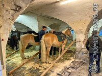158 IMG 1767    © Daniela und Christian Bittner u.a.    Alle Inhalte auf diesen Webseiten sind urheberrechtlich geschützt. Kein Teil der hier abrufbaren Inhalte darf ohne ausdrückliche schriftliche Erlaubnis des Fotografen reproduziert, gedruckt, übersetzt, in digitaler Form weiterbearbeitet, in Archive übernommen oder Dritten unter einer fremden URL zugänglich gemacht werden.   Fotografen: AE .. A. Esdar, AH .. A. Helmle, CB .. Chr. Bittner, DB .. D. Bittner, LB .. L. Bittner, BB .. B. Boschatzke,   HZ .. H. Ziegelbauer, IM .. I. Maierhöfer, KH .. K. Hauber, LE .. L. Esdar, ME .. M. Esdar, MEr .. M. Erhard,   RM .. R. Maierhöfer, SD .. S. Demchuk, TS .. T. Spaag-Wagner, UL .. U. Ladenburger, JW .. J. Wecker, EB .. E. Boschatzke,   JA .. J. Abele, MW .. Maria Walter, MB .. Manuel Bühler, GG .. Georg Gösele, CBa .. Christoph Bayrle, KZW .. Kathrin Zwerger, PG .. Peter Gösele, CME .. Carmen Müller-Epacher, GB .. Gebhard Bühler, AL .. Alisha Ladenburger, SV .. Susanne Habel-Veit, LV .. Lukas Veit.