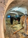 160 IMG 1774    © Daniela und Christian Bittner u.a.    Alle Inhalte auf diesen Webseiten sind urheberrechtlich geschützt. Kein Teil der hier abrufbaren Inhalte darf ohne ausdrückliche schriftliche Erlaubnis des Fotografen reproduziert, gedruckt, übersetzt, in digitaler Form weiterbearbeitet, in Archive übernommen oder Dritten unter einer fremden URL zugänglich gemacht werden.   Fotografen: AE .. A. Esdar, AH .. A. Helmle, CB .. Chr. Bittner, DB .. D. Bittner, LB .. L. Bittner, BB .. B. Boschatzke,   HZ .. H. Ziegelbauer, IM .. I. Maierhöfer, KH .. K. Hauber, LE .. L. Esdar, ME .. M. Esdar, MEr .. M. Erhard,   RM .. R. Maierhöfer, SD .. S. Demchuk, TS .. T. Spaag-Wagner, UL .. U. Ladenburger, JW .. J. Wecker, EB .. E. Boschatzke,   JA .. J. Abele, MW .. Maria Walter, MB .. Manuel Bühler, GG .. Georg Gösele, CBa .. Christoph Bayrle, KZW .. Kathrin Zwerger, PG .. Peter Gösele, CME .. Carmen Müller-Epacher, GB .. Gebhard Bühler, AL .. Alisha Ladenburger, SV .. Susanne Habel-Veit, LV .. Lukas Veit.