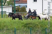 058 A DB 0176    © Daniela und Christian Bittner u.a.    Alle Inhalte auf diesen Webseiten sind urheberrechtlich geschützt. Kein Teil der hier abrufbaren Inhalte darf ohne ausdrückliche schriftliche Erlaubnis des Fotografen reproduziert, gedruckt, übersetzt, in digitaler Form weiterbearbeitet, in Archive übernommen oder Dritten unter einer fremden URL zugänglich gemacht werden.   Fotografen: AE .. A. Esdar, AH .. A. Helmle, CB .. Chr. Bittner, DB .. D. Bittner, LB .. L. Bittner, BB .. B. Boschatzke,   HZ .. H. Ziegelbauer, IM .. I. Maierhöfer, KH .. K. Hauber, LE .. L. Esdar, ME .. M. Esdar, MEr .. M. Erhard,   RM .. R. Maierhöfer, SD .. S. Demchuk, TS .. T. Spaag-Wagner, UL .. U. Ladenburger, JW .. J. Wecker, EB .. E. Boschatzke,   JA .. J. Abele, MW .. Maria Walter, MB .. Manuel Bühler, GG .. Georg Gösele, CBa .. Christoph Bayrle, KZW .. Kathrin Zwerger, PG .. Peter Gösele, CME .. Carmen Müller-Epacher, GB .. Gebhard Bühler, AL .. Alisha Ladenburger, SV .. Susanne Habel-Veit, LV .. Lukas Veit.