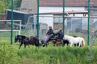 059 A DB 0185    © Daniela und Christian Bittner u.a.    Alle Inhalte auf diesen Webseiten sind urheberrechtlich geschützt. Kein Teil der hier abrufbaren Inhalte darf ohne ausdrückliche schriftliche Erlaubnis des Fotografen reproduziert, gedruckt, übersetzt, in digitaler Form weiterbearbeitet, in Archive übernommen oder Dritten unter einer fremden URL zugänglich gemacht werden.   Fotografen: AE .. A. Esdar, AH .. A. Helmle, CB .. Chr. Bittner, DB .. D. Bittner, LB .. L. Bittner, BB .. B. Boschatzke,   HZ .. H. Ziegelbauer, IM .. I. Maierhöfer, KH .. K. Hauber, LE .. L. Esdar, ME .. M. Esdar, MEr .. M. Erhard,   RM .. R. Maierhöfer, SD .. S. Demchuk, TS .. T. Spaag-Wagner, UL .. U. Ladenburger, JW .. J. Wecker, EB .. E. Boschatzke,   JA .. J. Abele, MW .. Maria Walter, MB .. Manuel Bühler, GG .. Georg Gösele, CBa .. Christoph Bayrle, KZW .. Kathrin Zwerger, PG .. Peter Gösele, CME .. Carmen Müller-Epacher, GB .. Gebhard Bühler, AL .. Alisha Ladenburger, SV .. Susanne Habel-Veit, LV .. Lukas Veit.