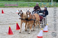 110 A DB 0476    © Daniela und Christian Bittner u.a.    Alle Inhalte auf diesen Webseiten sind urheberrechtlich geschützt. Kein Teil der hier abrufbaren Inhalte darf ohne ausdrückliche schriftliche Erlaubnis des Fotografen reproduziert, gedruckt, übersetzt, in digitaler Form weiterbearbeitet, in Archive übernommen oder Dritten unter einer fremden URL zugänglich gemacht werden.   Fotografen: AE .. A. Esdar, AH .. A. Helmle, CB .. Chr. Bittner, DB .. D. Bittner, LB .. L. Bittner, BB .. B. Boschatzke,   HZ .. H. Ziegelbauer, IM .. I. Maierhöfer, KH .. K. Hauber, LE .. L. Esdar, ME .. M. Esdar, MEr .. M. Erhard,   RM .. R. Maierhöfer, SD .. S. Demchuk, TS .. T. Spaag-Wagner, UL .. U. Ladenburger, JW .. J. Wecker, EB .. E. Boschatzke,   JA .. J. Abele, MW .. Maria Walter, MB .. Manuel Bühler, GG .. Georg Gösele, CBa .. Christoph Bayrle, KZW .. Kathrin Zwerger, PG .. Peter Gösele, CME .. Carmen Müller-Epacher, GB .. Gebhard Bühler, AL .. Alisha Ladenburger, SV .. Susanne Habel-Veit, LV .. Lukas Veit.